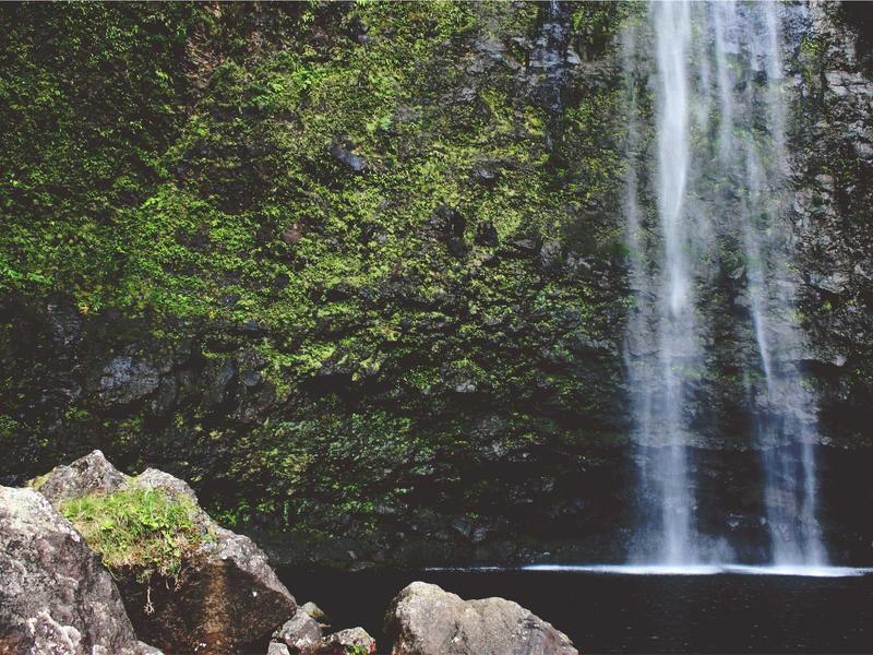 sudoku guest mode screenshot 6