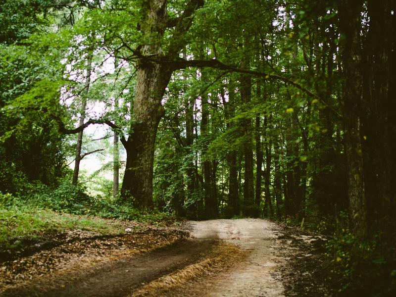 sudoku guest mode screenshot 3